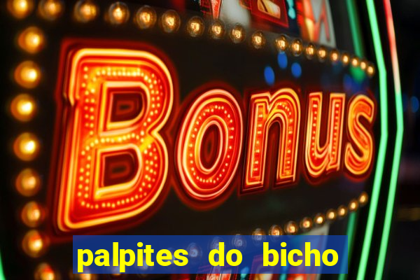 palpites do bicho no celular