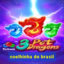 coelhinha do brasil