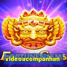 videoacompanhante