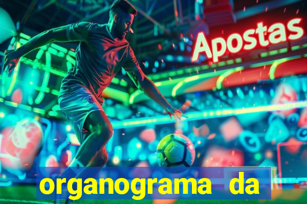 organograma da cacau show