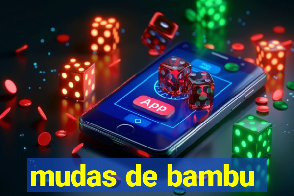 mudas de bambu