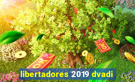 libertadores 2019 dvadi