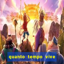 quanto tempo vive um sapo