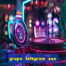 grupo telegram sao jose do rio preto