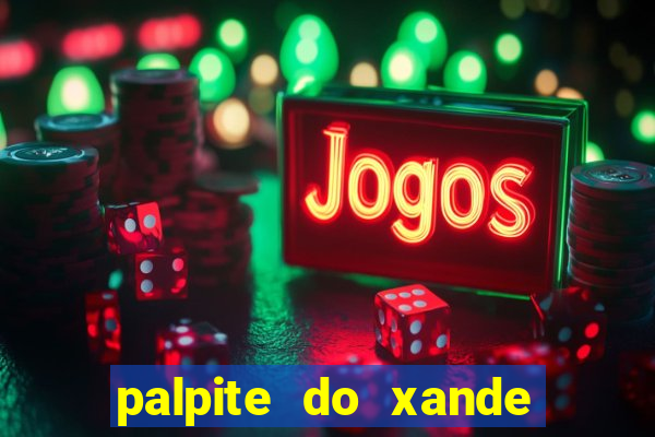 palpite do xande de hoje