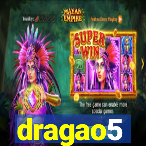 dragao5