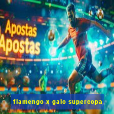 flamengo x galo supercopa