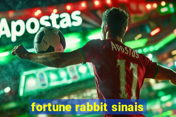 fortune rabbit sinais