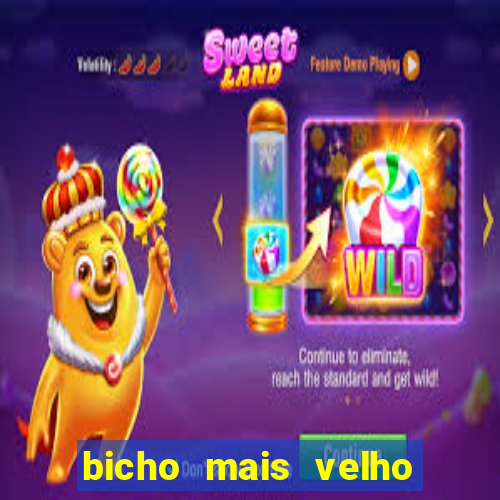 bicho mais velho da loteria dos sonhos