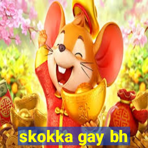 skokka gay bh