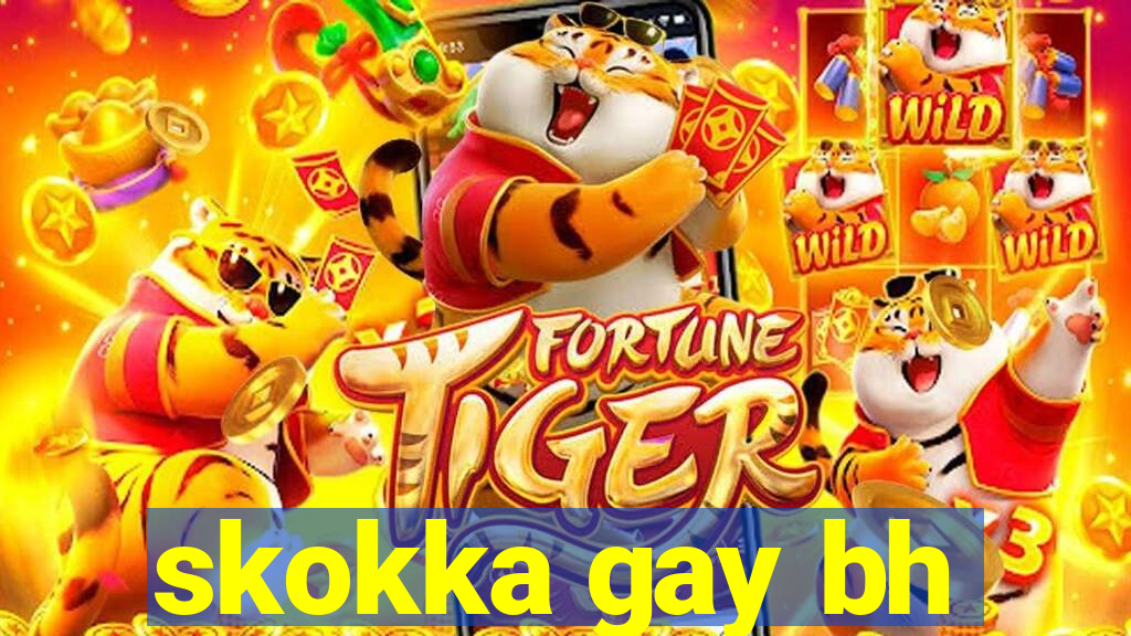 skokka gay bh