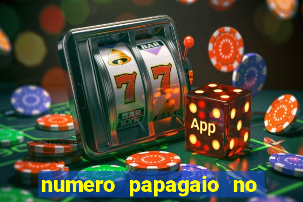 numero papagaio no jogo do bicho