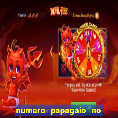 numero papagaio no jogo do bicho