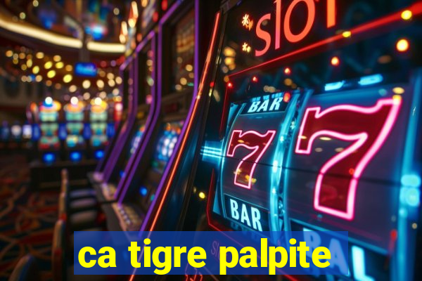 ca tigre palpite