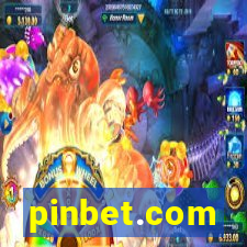 pinbet.com