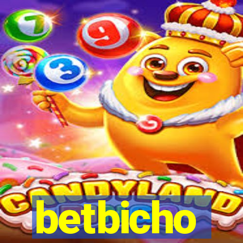 betbicho