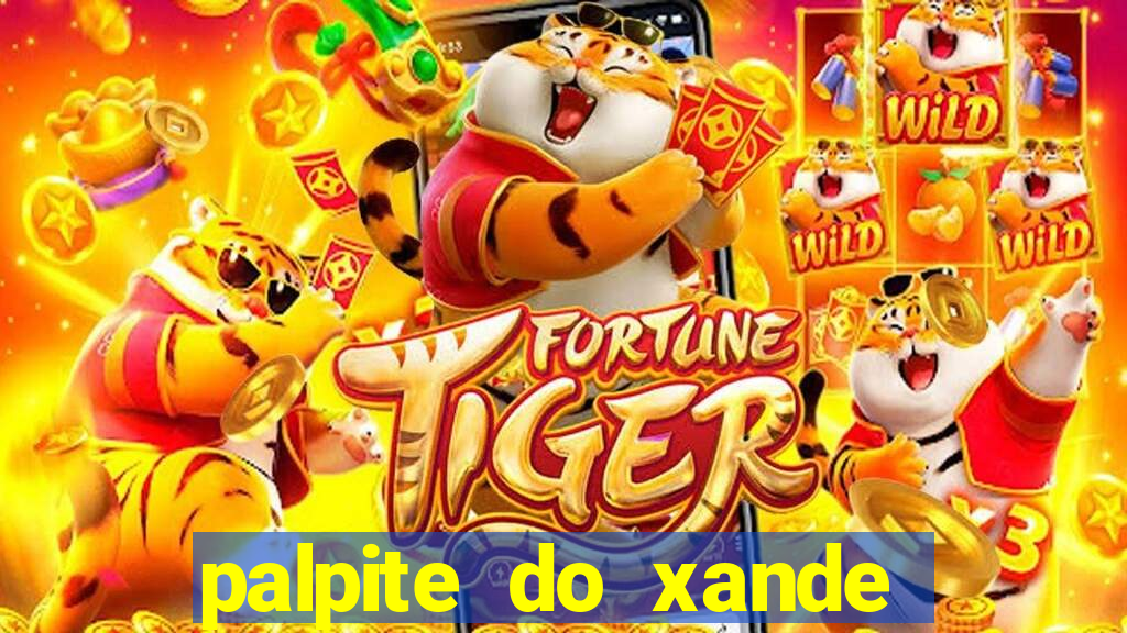 palpite do xande para hoje