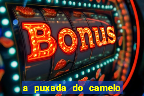 a puxada do camelo no jogo do bicho