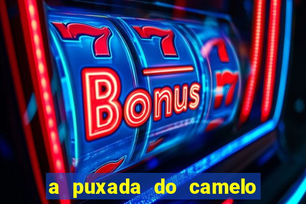 a puxada do camelo no jogo do bicho