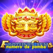 numero da pomba jogo do bicho