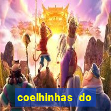 coelhinhas do brasil jp