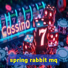 spring rabbit mq