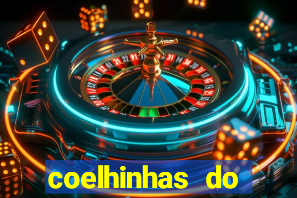 coelhinhas do brasil recife