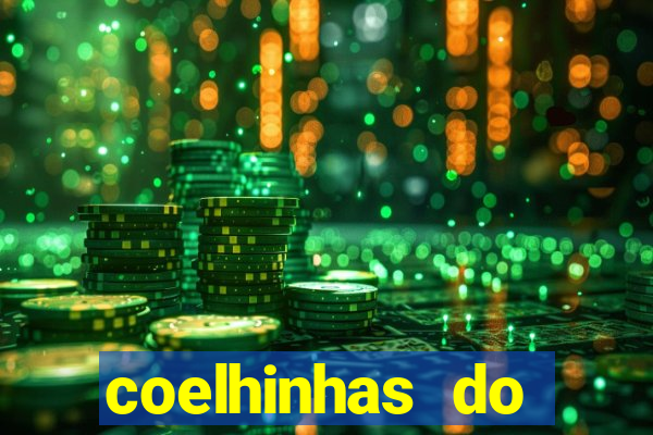 coelhinhas do brasil recife