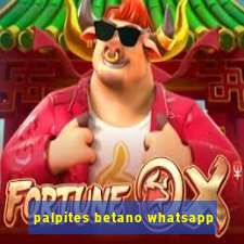 palpites betano whatsapp