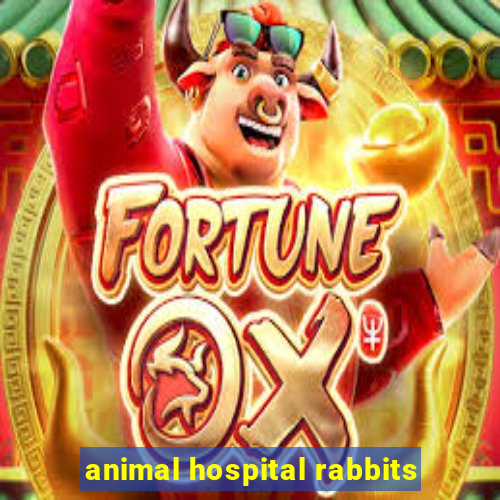 animal hospital rabbits