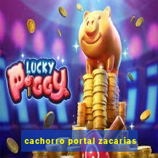 cachorro portal zacarias