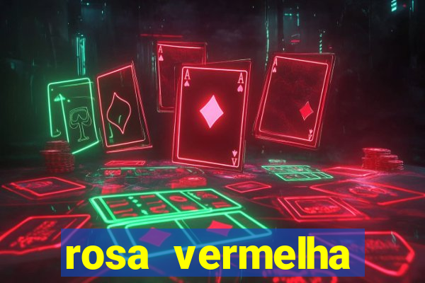 rosa vermelha (letra e cifra)