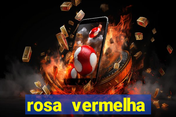 rosa vermelha (letra e cifra)