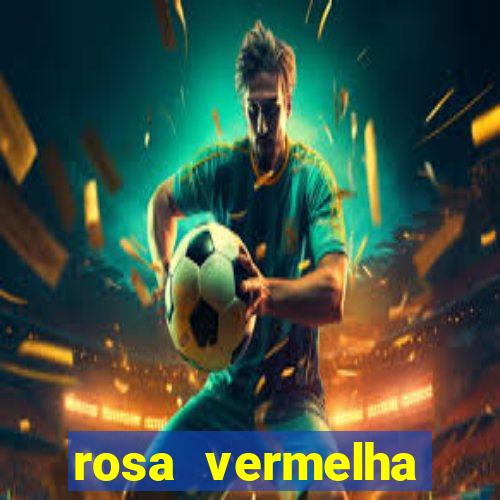 rosa vermelha (letra e cifra)