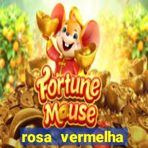 rosa vermelha (letra e cifra)