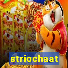 striochaat