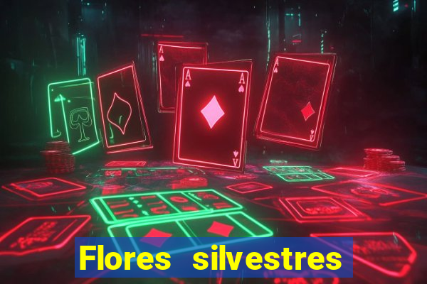 Flores silvestres brasileiras 25