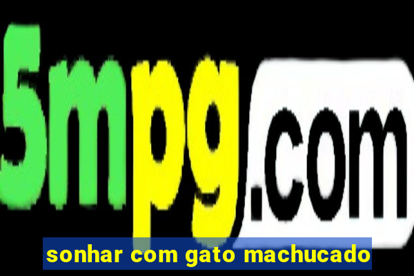 sonhar com gato machucado