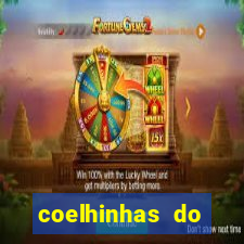 coelhinhas do brasil site