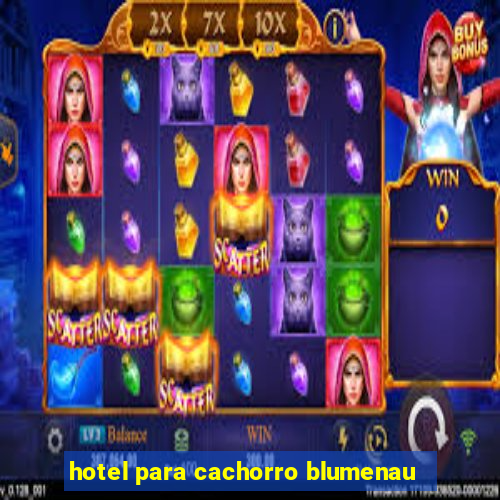 hotel para cachorro blumenau