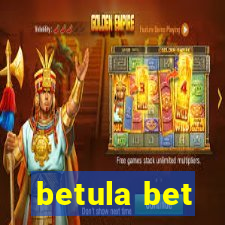 betula bet