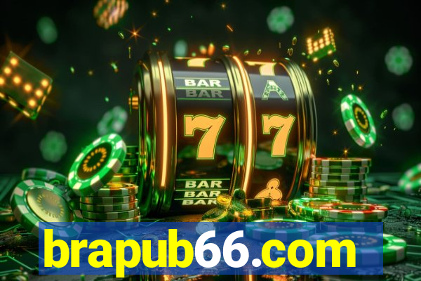 brapub66.com