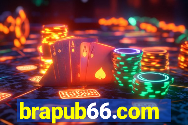 brapub66.com