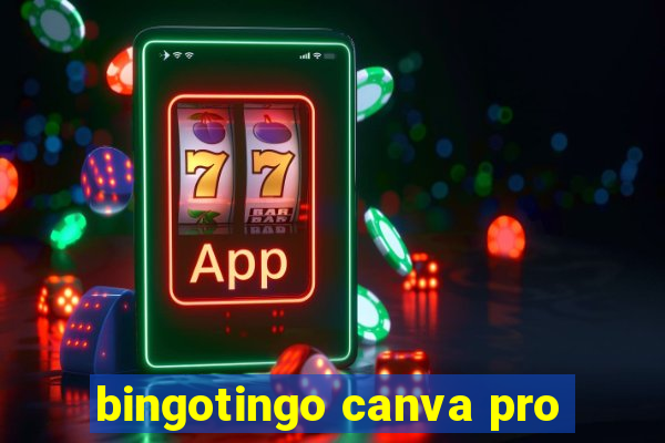 bingotingo canva pro