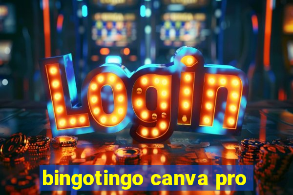 bingotingo canva pro