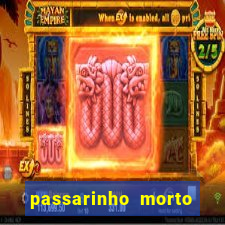 passarinho morto significado espiritual