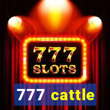 777 cattle