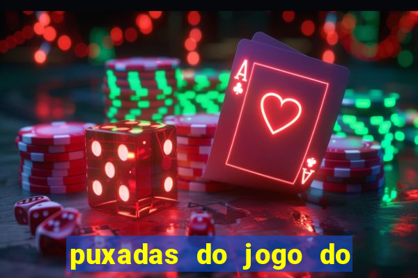 puxadas do jogo do bicho sueli