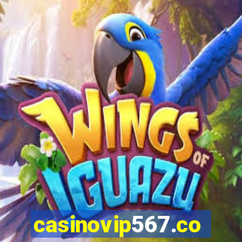 casinovip567.com