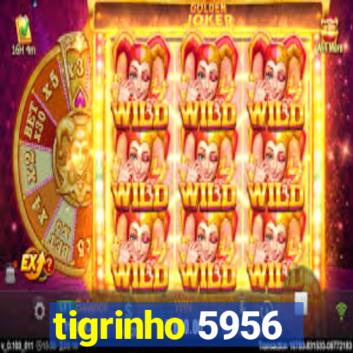 tigrinho 5956